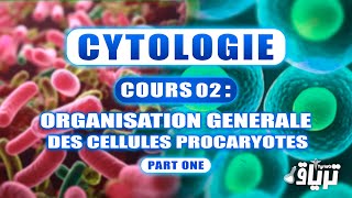 CYTOLOGIE 1ère année  Organisation Générale de la Cellule Procaryote  Partie1 [upl. by Etnoed345]