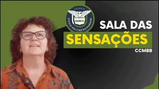 SALA DAS SENSAÇÕES [upl. by Atirihs]