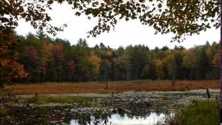 Kimball Pond Loop Trail NH [upl. by Johnath]