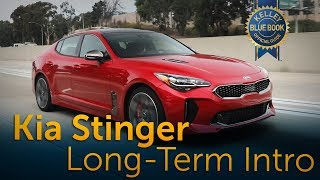 2018 Kia Stinger  LongTerm Ownership Intro [upl. by Wendelina]