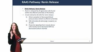 Cell Physiology Sodium Balance amp The RAAS Pathway [upl. by Chandos200]