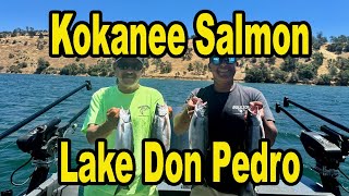 Kokanee Salmon Lake Don Pedro Style [upl. by Maurie]