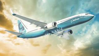 New Boeing 737 MAX [upl. by Llieno]