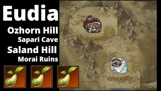 Where to find mococo seeds Eudia Region  Ozhong Hill Saland Hill  Lost Ark Online [upl. by Burkhardt21]