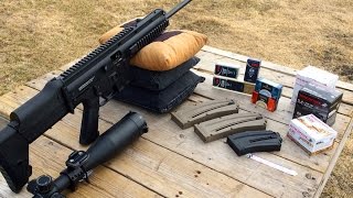 Anschutz MSR RX22 Review [upl. by Sikram712]