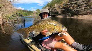 Kayak Fishing for GIANT Australian Bass [upl. by Centonze]