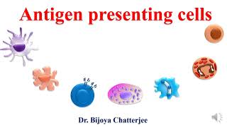 Antigen presenting cells [upl. by Okia]