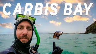 Swimming with seals at Carbis Bay St Ives Cornwall [upl. by Gertrude]