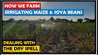 Farming in Zambia How We Irrigated Our Maize and Soya Beans Crops During the Long Dry Spell [upl. by Pearle]