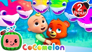 The Colorful Baby Shark Song 🦈  CoComelon  Nursery Rhymes  Fun Cartoons For Kids [upl. by Hendrika418]