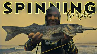 Pesca de ROBALO  Spinning TOPWATER [upl. by Vernor]