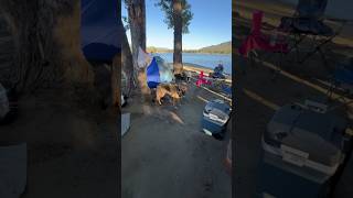 A little adventure to Lake Hemet California lake camping [upl. by Enisaj]