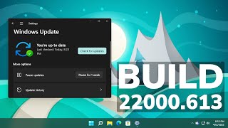 New Windows 11 Update 22000613  Memory Leaks Fixed Settings Changes and Security Improvements [upl. by Ivz411]