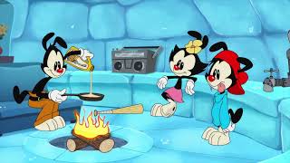 Animaniacs 2020  Everyday Safety [upl. by Wiles]