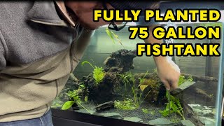 Aquascaping my 75 gallon fishtank [upl. by Airemat]