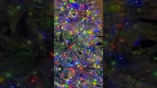 MultiColor Christmas Snake Lights  Red Green Blue Yellow christmas 2024 [upl. by Sholes]