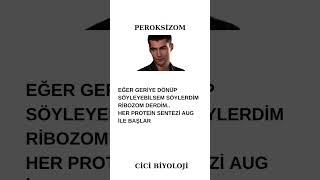 Peroksizom Her protein sentezi AUG ile başlar [upl. by Lay518]