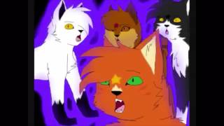 Le combat final de Fléau  Scourge lgdc •AMV• Warrior Cats [upl. by Bastian387]