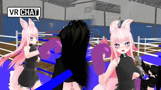 Getting obliterated by a poofy eared idol boxer💖 VRchat BOXING [upl. by Parris846]