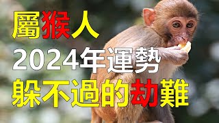 2024生肖運勢，十二生肖（屬猴人運勢當中，最躲不過的劫難是什麼，這其實跟屬猴人的性格特點，有相當大的關係，屬猴人在2024年間可能會面臨財富上的危機。讓屬猴人一夜間傾家蕩產） [upl. by Ateekal]