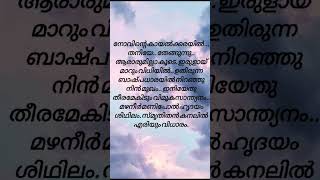 novinte song lyrics lyricsvideo [upl. by Anyat]