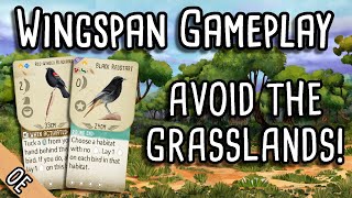 Wingspan Gameplay  Avoiding the grasslands on OE boards [upl. by Cnut]