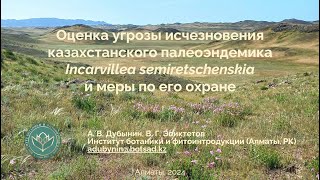 Недзвецкия семиреченская Кейс для тренинга по критериям МСОП [upl. by Sundberg885]