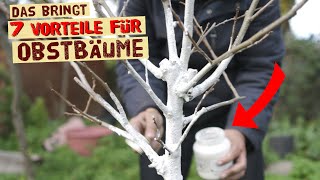 Warum streicht man Bäume weiß an Anleitung zum Weißanstrich von Obstbäumen  7 Gründe und Vorteile [upl. by Yrojram877]