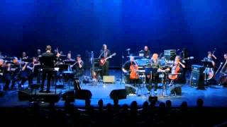 John Cale  The Endless Plain of Fortune Live with orchestra [upl. by Acissej]