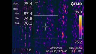 Pad surface temperatures on a warm humid day when being operating on an interval timer [upl. by Aubigny]