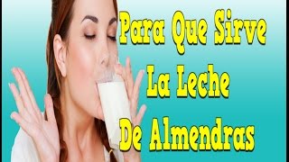 Para Que Sirve La Leche De Almendras Beneficios De La Leche De Almendras Receta Leche De Almendras [upl. by Irrak]