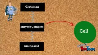 ɣGlutamyl Cycle [upl. by Enigroeg]