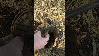 Metal Detecting Lantern Part 1800 Silver Coins Relics Toys Farm Western NY metaldetecting shorts [upl. by Lerim811]