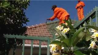 How to paint a roof [upl. by Jamal]