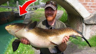 I Just Caught A Canal GIANT New PB [upl. by Daley]