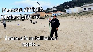 SURFCASTING PESCATA TRA LE ALGHE IL MARE CI DONA UN BELLISSIMO REGALO 🎣 [upl. by Menendez]