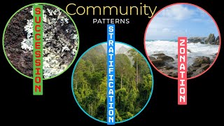 Community Patterns Zonation stratification amp succession [upl. by Arahahs]