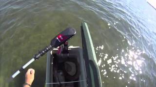 Trolling Motor on a Stand Up Surfboard [upl. by Annecorinne]