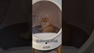 Unboxing PetSafe ScoopFree SmartSpin SelfCleaning Litter Box petsafe cats [upl. by Oisor66]