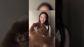 jennie live show [upl. by Jaye]