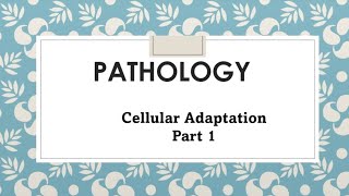 PATHOLOGY CELLULAR ADAPTATION PART 01 pathology robbins adaptation medical bangla [upl. by Johm]