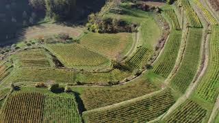 Der Kaiserstuhl von oben mit der DJI Mini 2 CINEMATIC MODE in 4k [upl. by Gracie284]