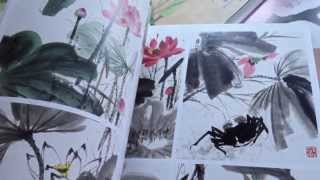 Chinese painting books  mostly gongbi [upl. by Adyahs]