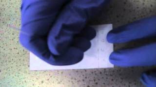 Introduction to Thin Layer Chromatography [upl. by Tove]