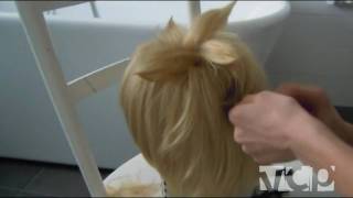 Len Kagamine Wig styling [upl. by Ahsikal]