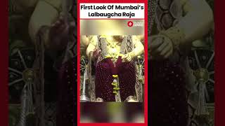 TOP 10 FAMOUS GANPATI MANDALS IN MAHARASHTRA ganpati shorts top10 [upl. by Chiquita571]