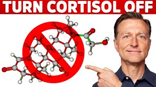 Why Its Hard To Turn Stress Cortisol Off – Dr Berg [upl. by Klute778]