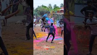 😱143 standing pose 🔥jallikattu bull cattle newpost cow kangayam vilayattujallikattu [upl. by Annahsed]