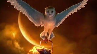 Legend of the Guardians  The Owls of Gahoole  E3 video games trailer Nintendo Wii amp DS [upl. by Ophelie890]