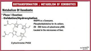 Biotransformation and Xenobiotics Metabolism  Phase 1 reaction  The Biochemistry Academy [upl. by Rehotsirk199]